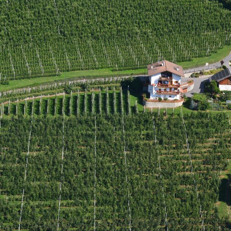 Rastenfeldhof - Appartamento con 1 Camera da Letto - 8