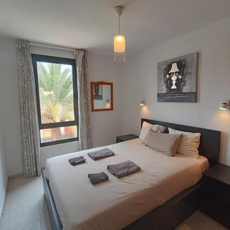 Apartamento SUMMER Complex Amaya Fuerteventura - Apartamento de 1 dormitorio - 2