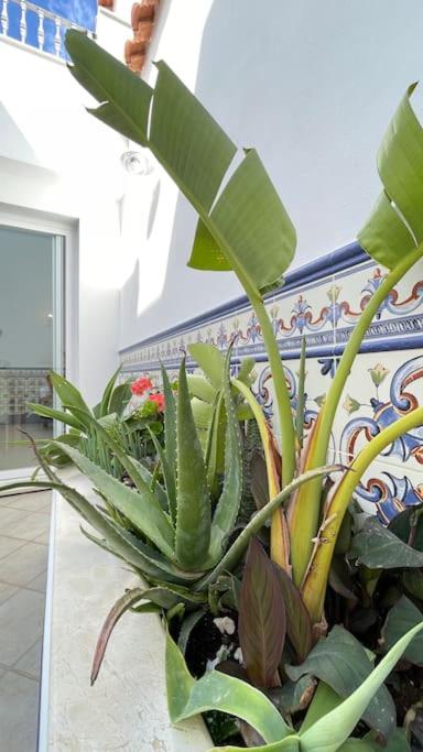 Casa Azahar luxury two bedroom top floor apartment - Two-Bedroom Apartment - 18