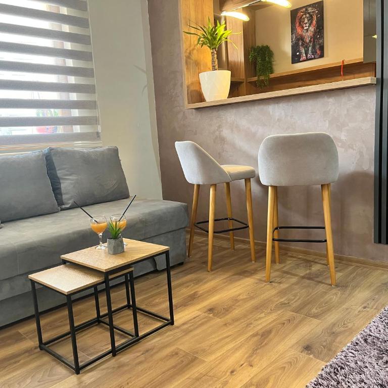 Apartman Irma sweet free parking old town near Bascarsija - Apartman sa 1 Spavaćom Sobom - 10