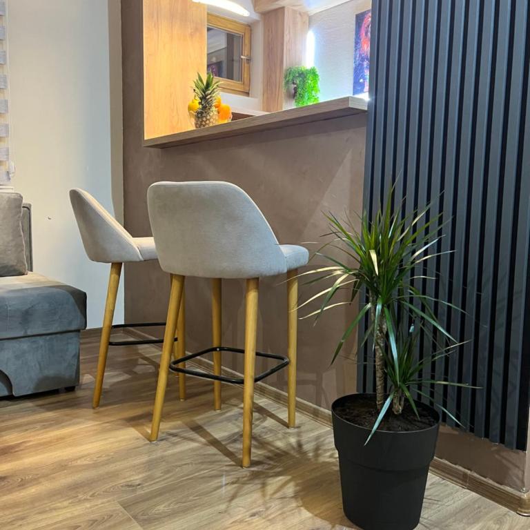 Apartman Irma sweet free parking old town near Bascarsija - Apartman sa 1 Spavaćom Sobom - 15
