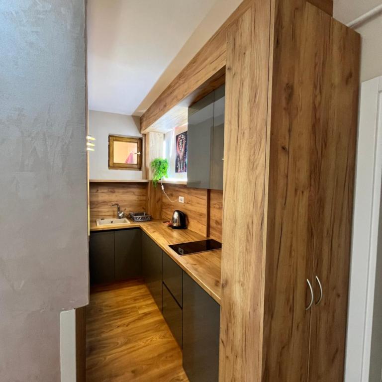 Apartman Irma sweet free parking old town near Bascarsija - Apartman sa 1 Spavaćom Sobom - 18