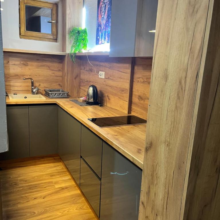 Apartman Irma sweet free parking old town near Bascarsija - Apartman sa 1 Spavaćom Sobom - 20