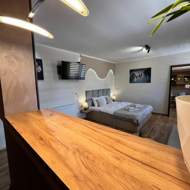 Apartman Irma sweet free parking old town near Bascarsija - Apartman sa 1 Spavaćom Sobom - 25