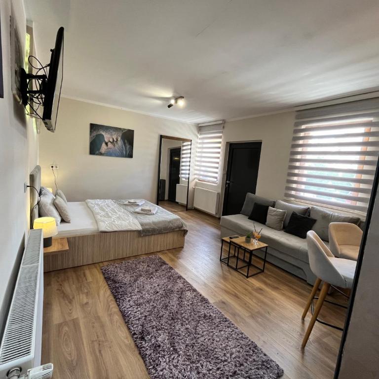 Apartman Irma sweet free parking old town near Bascarsija - Apartman sa 1 Spavaćom Sobom - 28