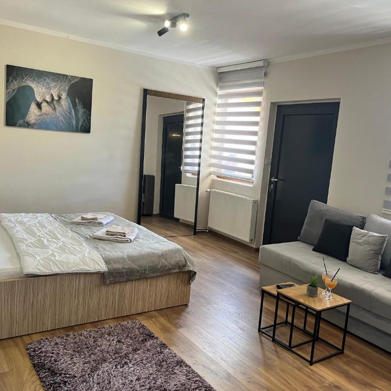 Apartman Irma sweet free parking old town near Bascarsija - Apartman sa 1 Spavaćom Sobom - 31