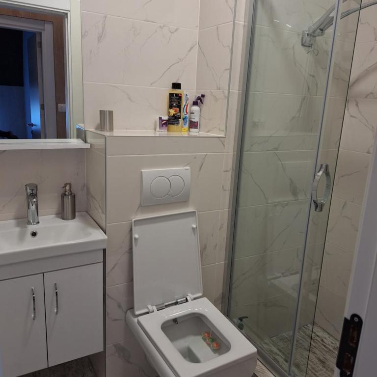 Apartman Felis Star - Apartman sa 1 Spavaćom Sobom - 26