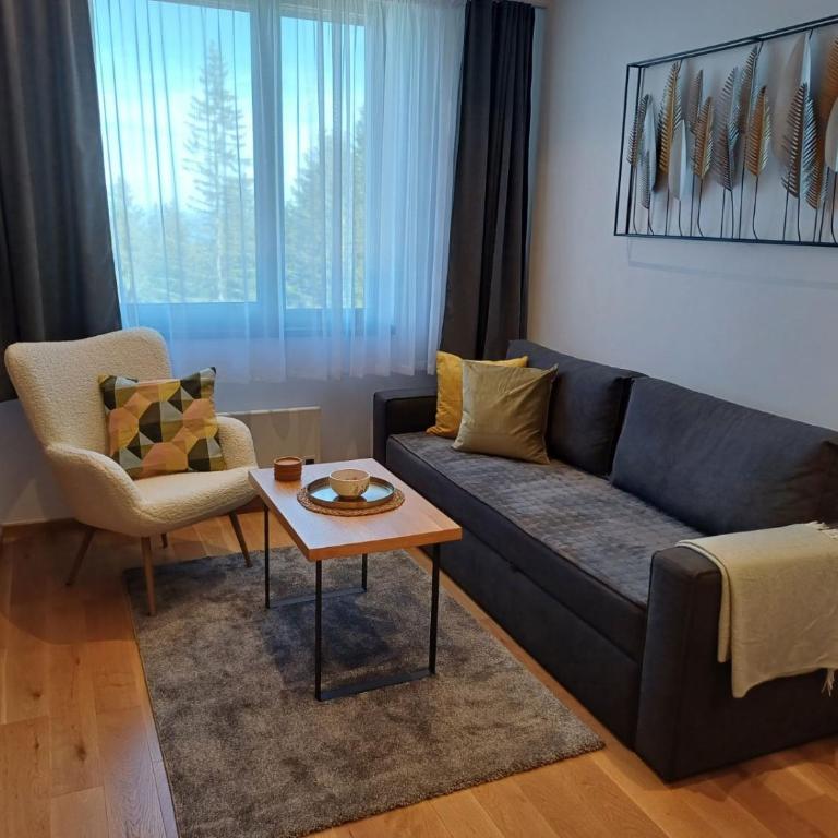 Apart Hotel Zlatni Javor, Apartment 410 - Apartment with Mountain View - 12