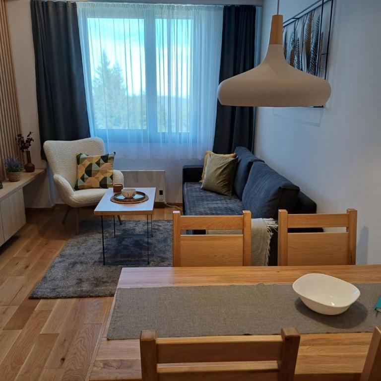 Apart Hotel Zlatni Javor, Apartment 410 - Apartment with Mountain View - 11