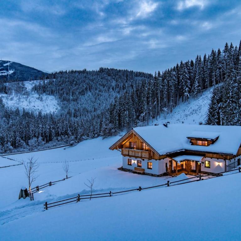 Almchalet Linharterhof - Superior Chalet - 3