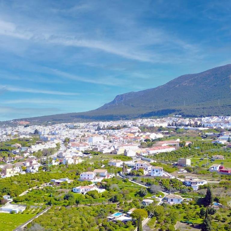 Casa Azahar centrally located 2 bedroom apartment - Two-Bedroom Apartment - 31
