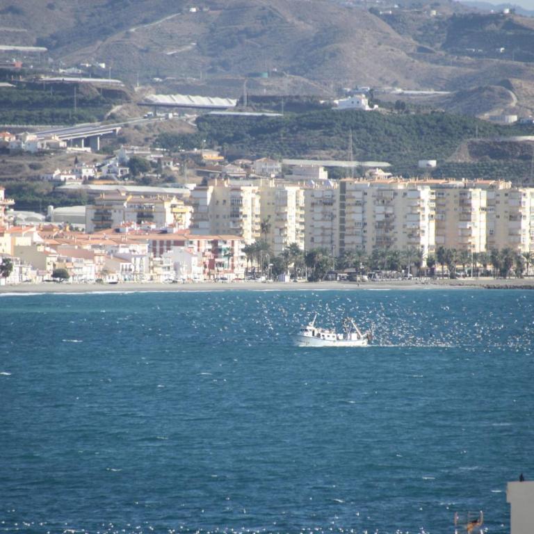 Estudio Plazamar Beach - Studio - 15