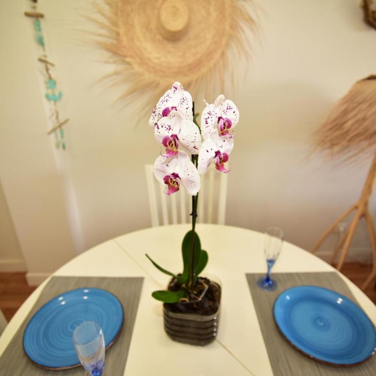 Casa Ati.ko Beach Apartment - Apartamento de 2 dormitorios - 25