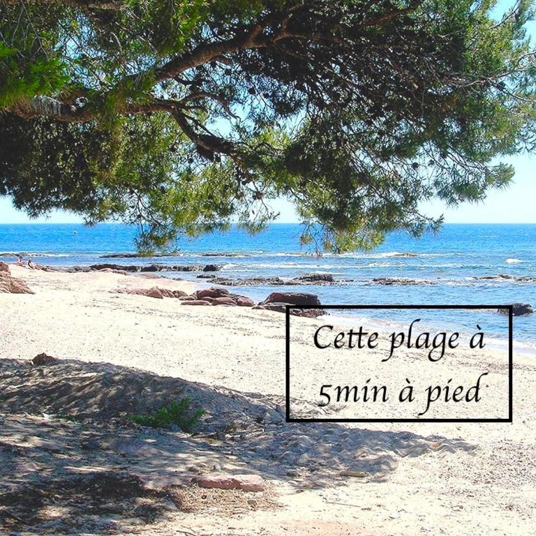 Appartement Plage et Nature - Appartamento con 1 Camera da Letto - 12