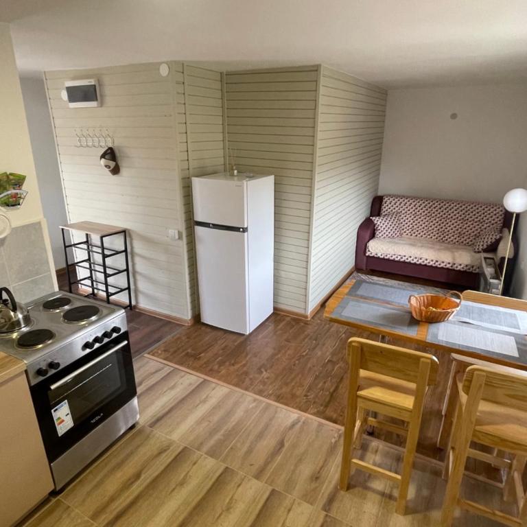 White House Žabljak - One-Bedroom Apartment - 11