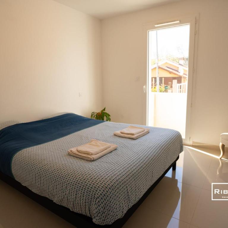 Riboleys - T3 climatisé à 100m de la mer - Appartement 2 Chambres - 10