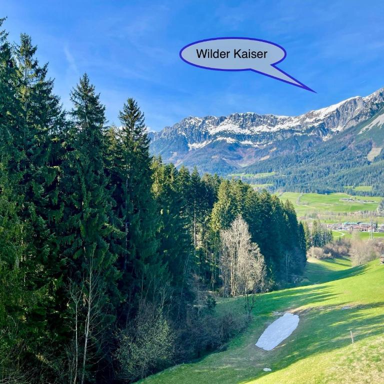 Apartment Berghof Ellmau - Two-Bedroom Apartment - 2