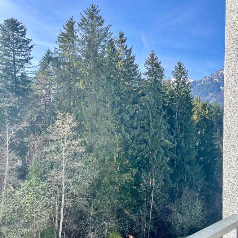 Apartment Berghof Ellmau - Two-Bedroom Apartment - 8