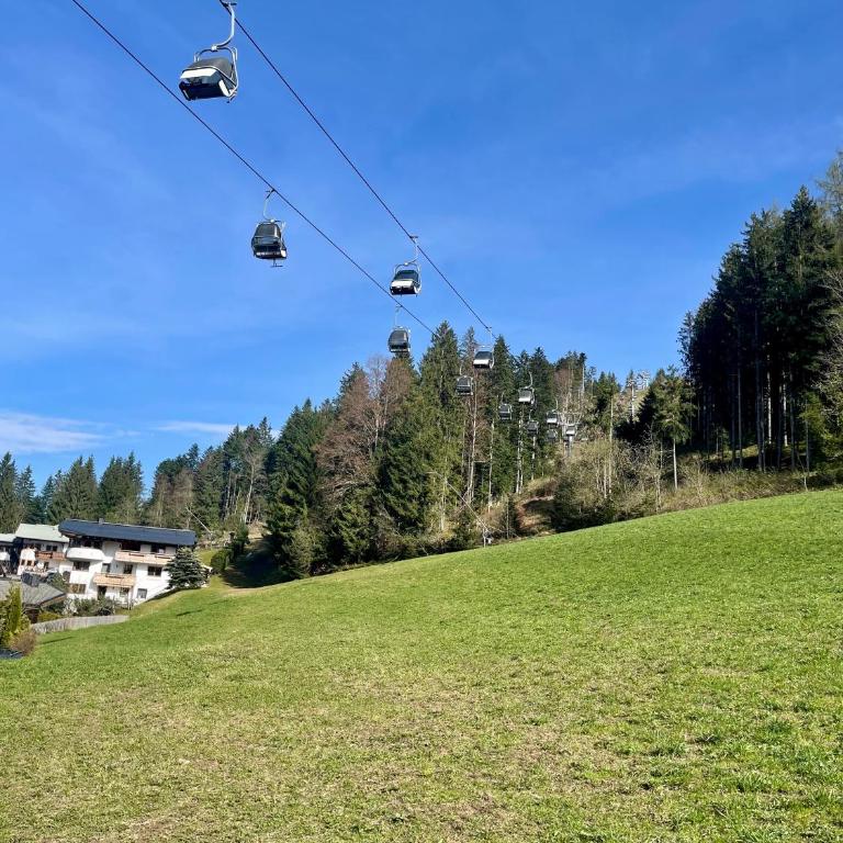 Apartment Berghof Ellmau - Two-Bedroom Apartment - 14
