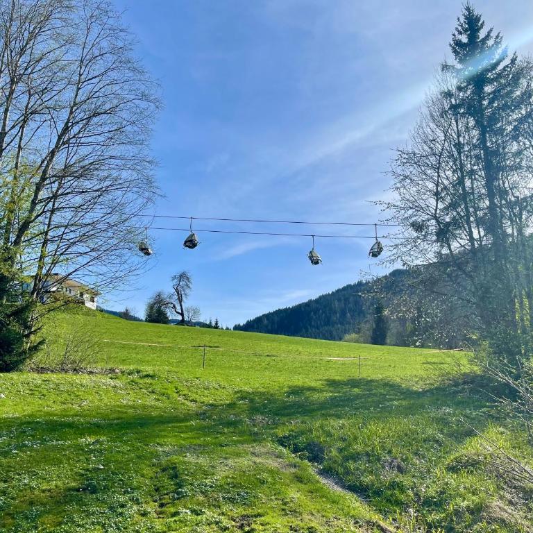 Apartment Berghof Ellmau - Two-Bedroom Apartment - 31