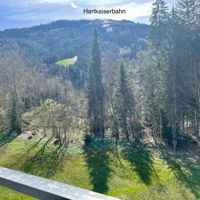 Apartment Berghof Ellmau - Two-Bedroom Apartment - 49