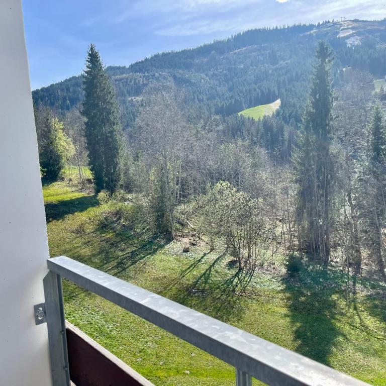 Apartment Berghof Ellmau - Two-Bedroom Apartment - 56