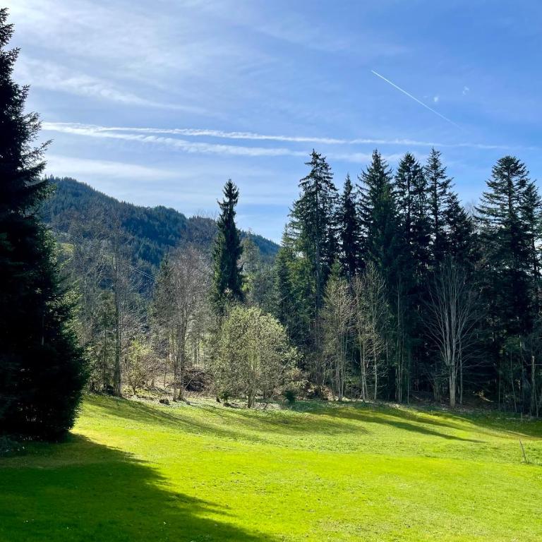 Apartment Berghof Ellmau - Two-Bedroom Apartment - 61