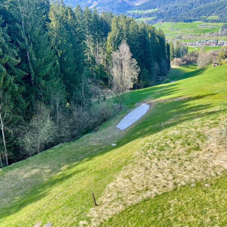 Apartment Berghof Ellmau - Two-Bedroom Apartment - 67