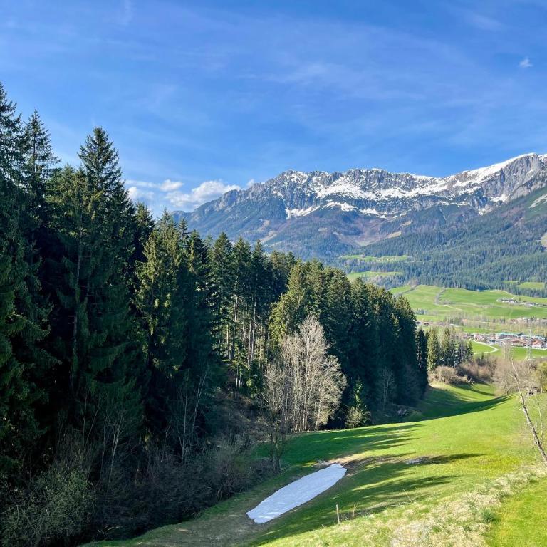Apartment Berghof Ellmau - Two-Bedroom Apartment - 72