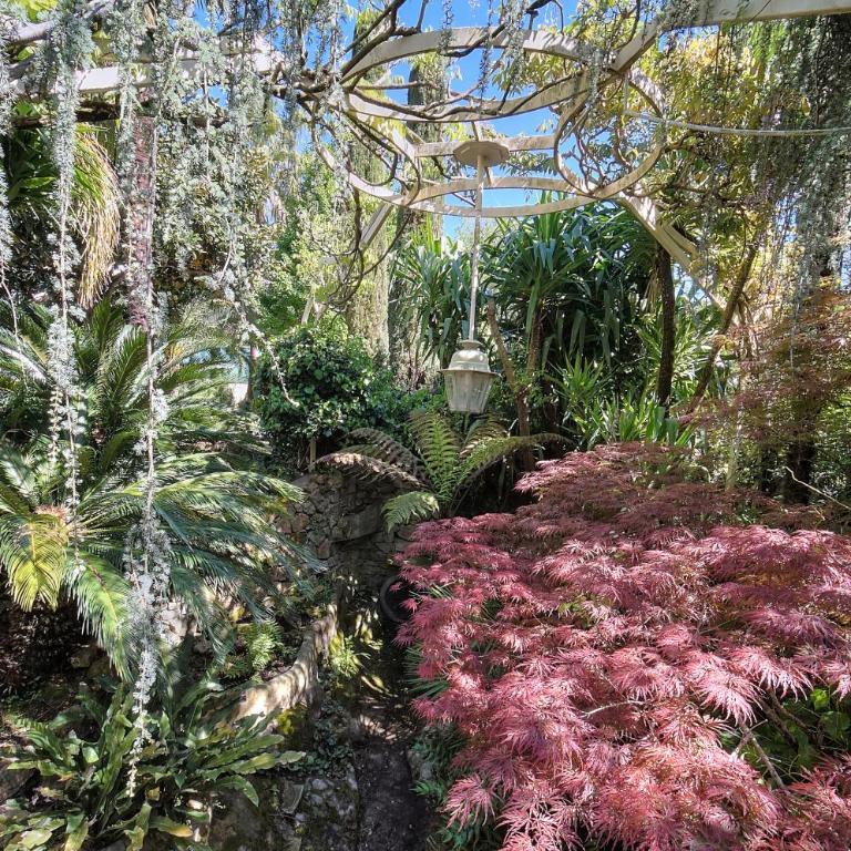 Le Bel - Jardin - Parking - VCA - Appartement 1 Chambre - 27
