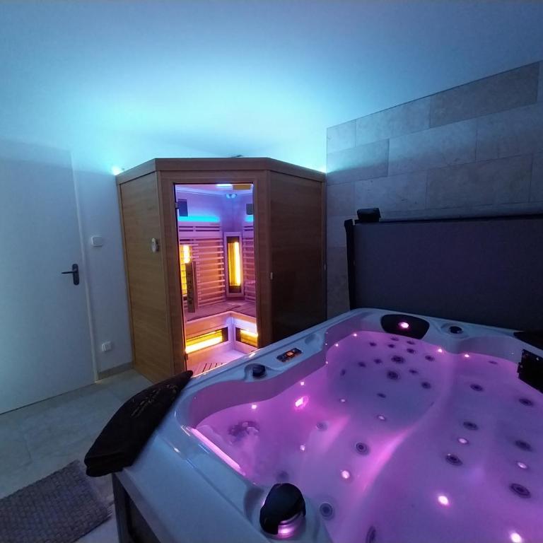 L instant Chaumois - Moment zen aux Sables d Olonne - Appartamento Superior con Sauna - 1