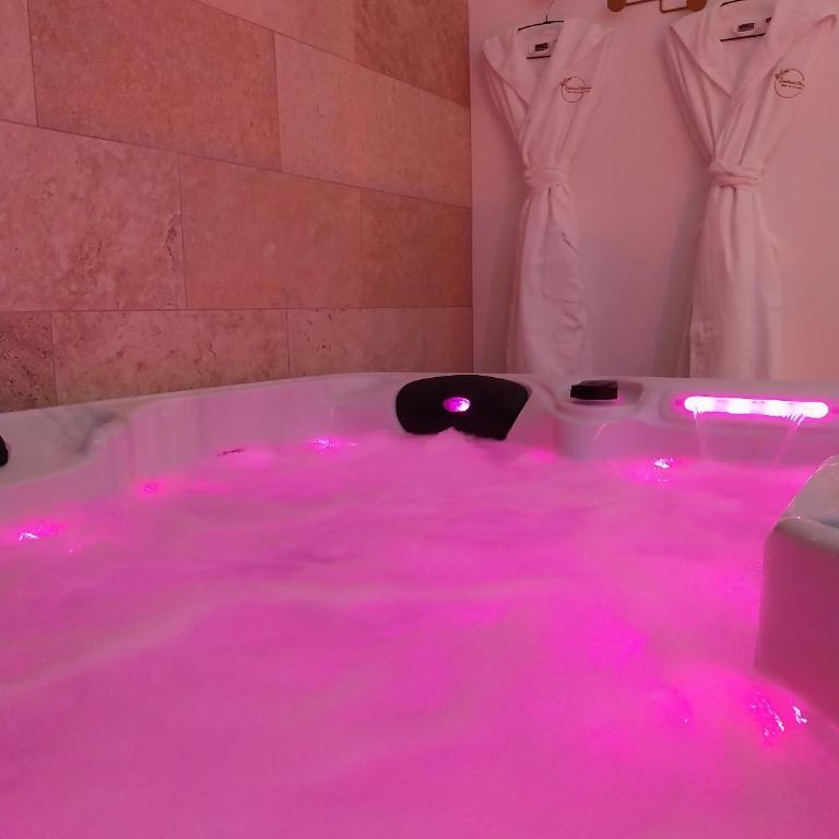 L instant Chaumois - Moment zen aux Sables d Olonne - Appartamento Superior con Sauna - 14