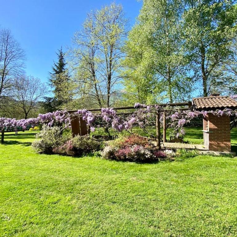 Villa Giulia - Argentera - Two-Bedroom Apartment - 56