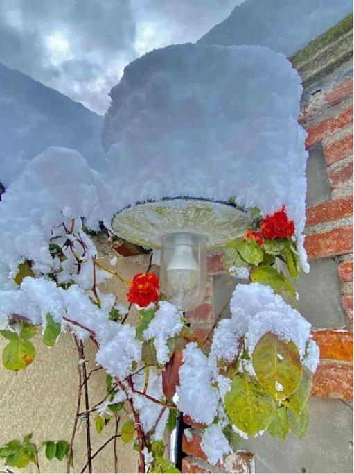 Villa Giulia - Argentera - Two-Bedroom Apartment - 71