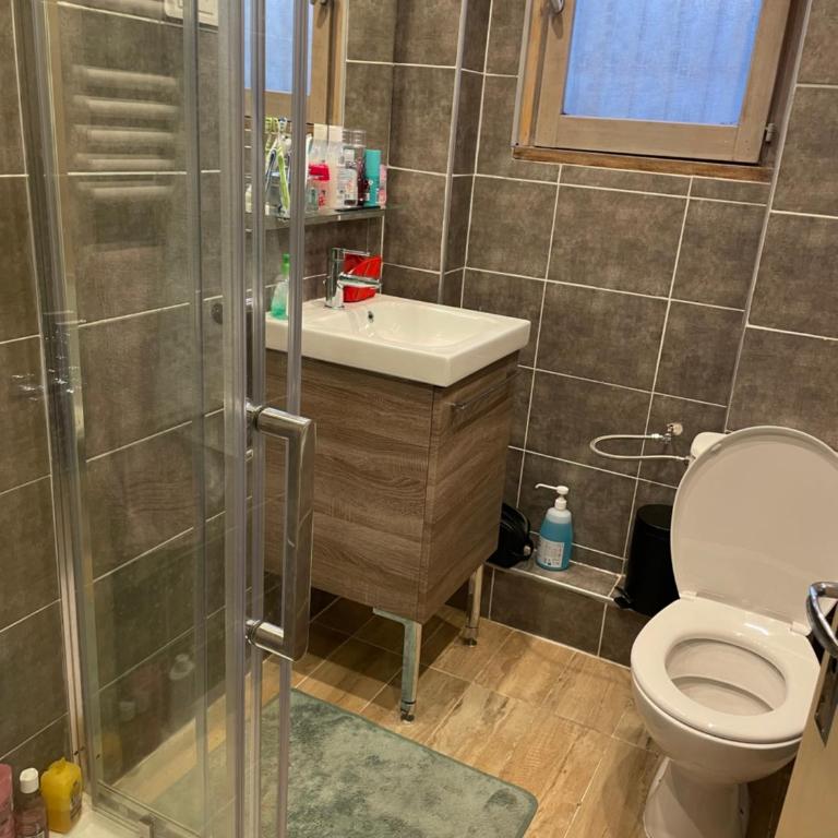 LE PICOULET : Appartement tout confort Coeur de village( 5/7 ) - Appartement 2 Chambres - 9