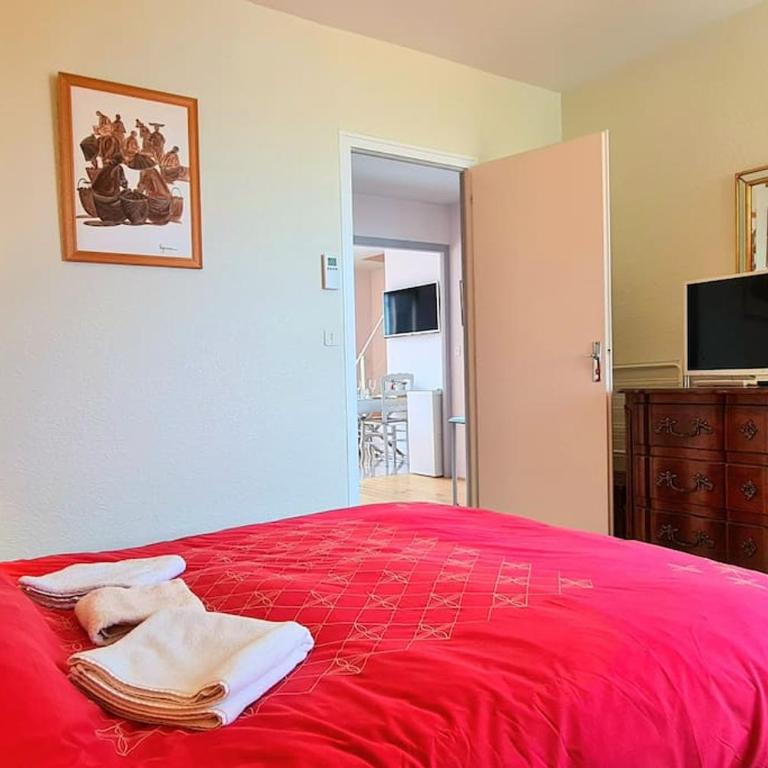 Grand Appartement La Source d'Evian - Apartamento de 1 dormitorio - 13