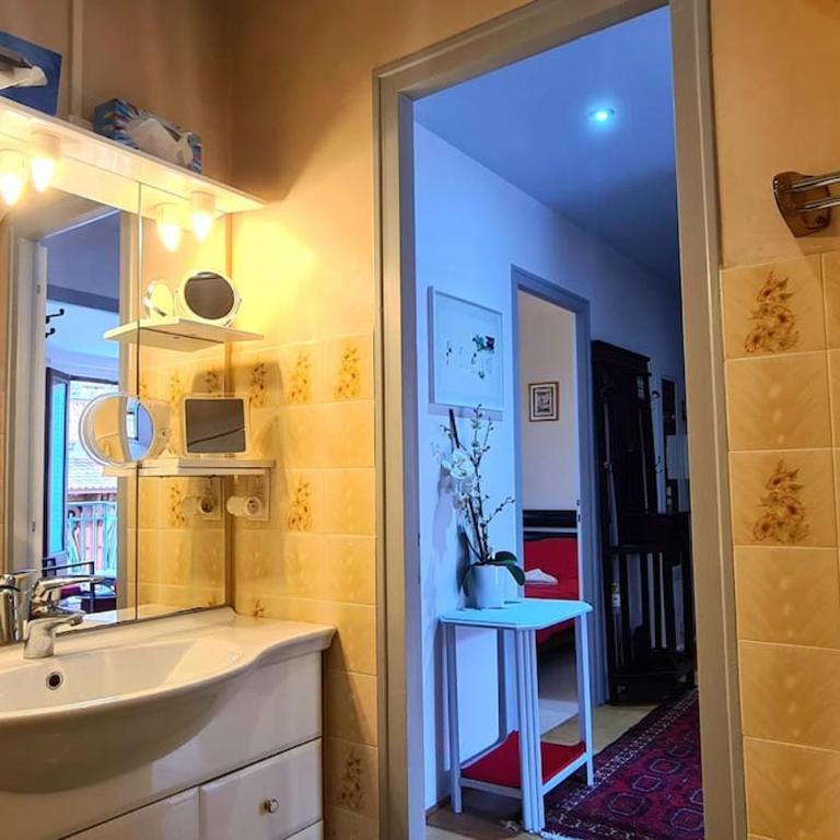Grand Appartement La Source d'Evian - Apartamento de 1 dormitorio - 16