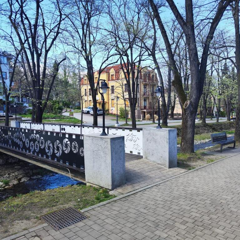 Apartman Leone Vrnjačka Banja - Apartman sa 1 Spavaćom Sobom - 7