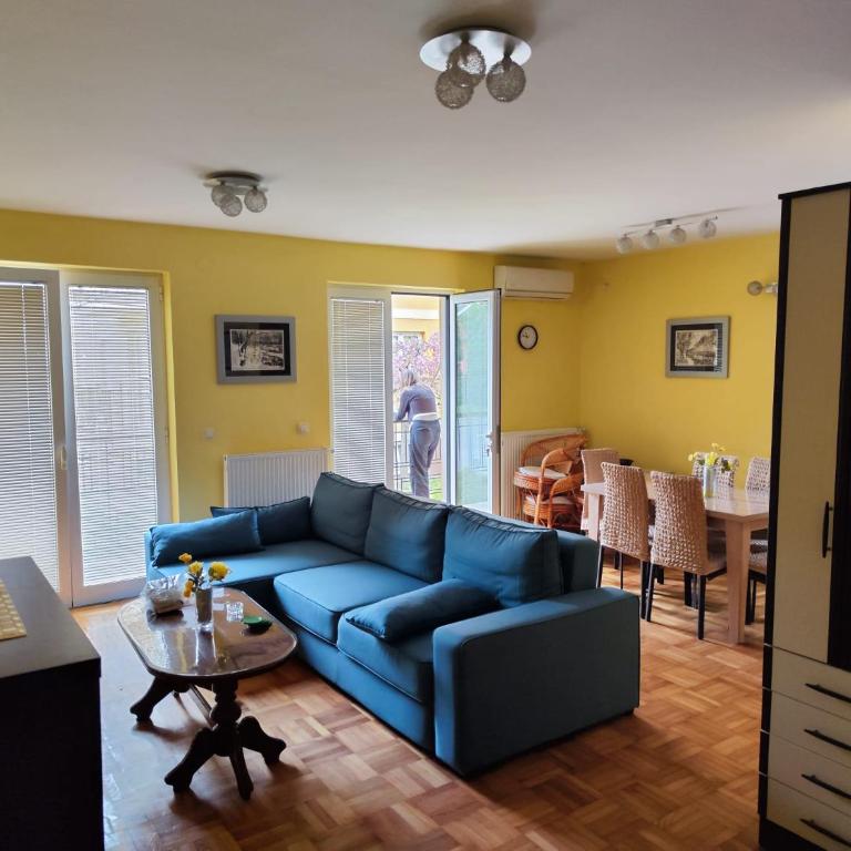 Apartman Leone Vrnjačka Banja - Apartman sa 1 Spavaćom Sobom - 14