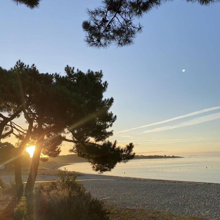 Confortable studio, wifi, parking, proche plage - Studio avec Balcon - 14