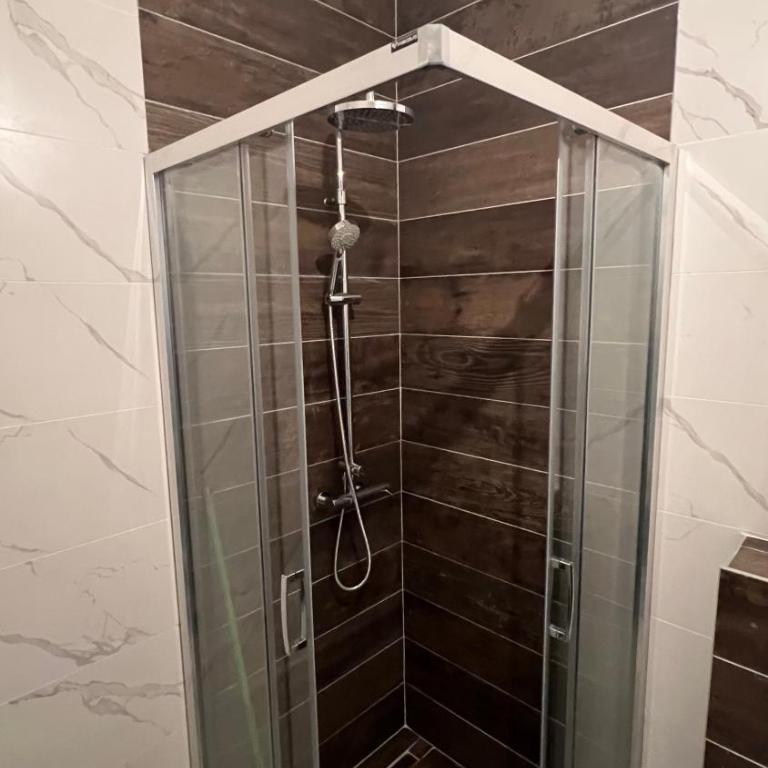 Ilidza Apartment - Deluks Dvokrevetni Studio sa Bračnim Krevetom - 6