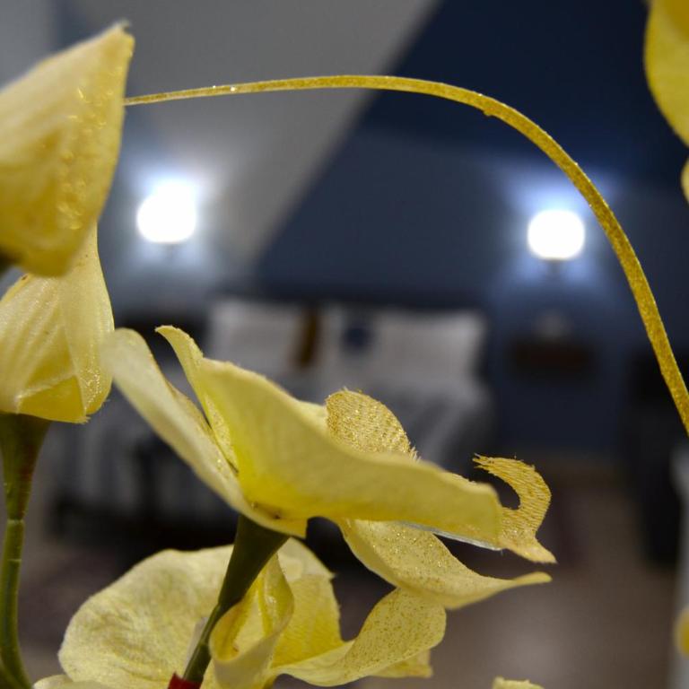 Casa Grazia - Guest House - - Monolocale con Balcone - 8