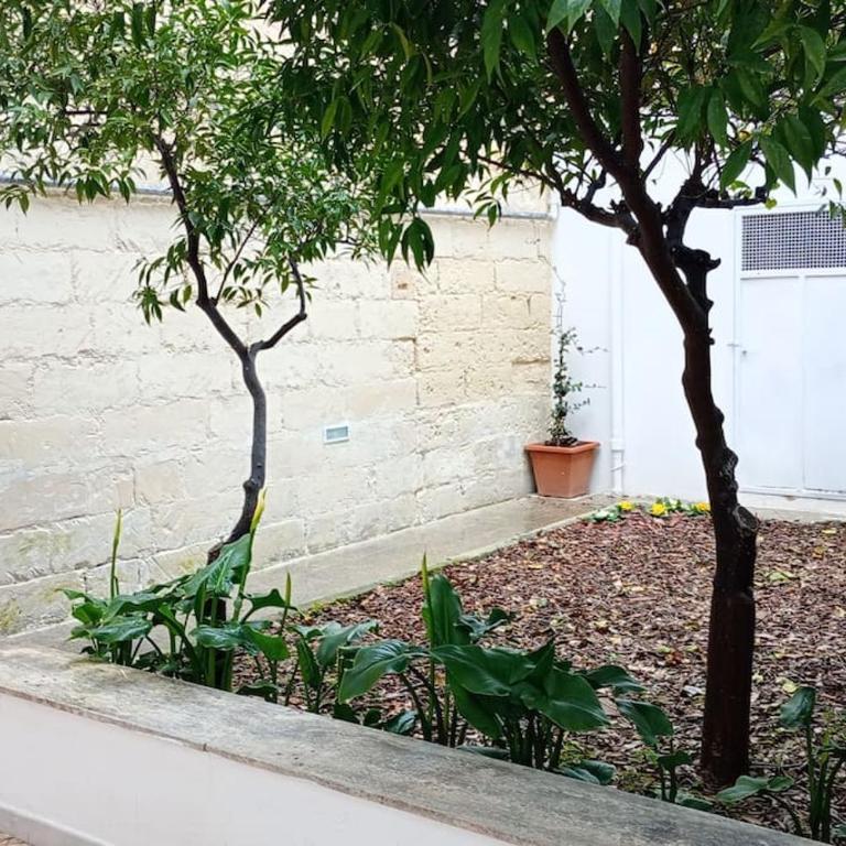 Centrale con giardino segreto - Casa con 1 Camera da Letto - 9