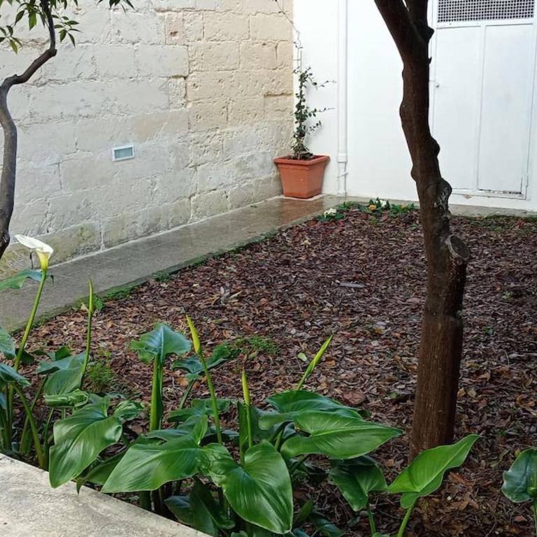 Centrale con giardino segreto - Casa con 1 Camera da Letto - 8