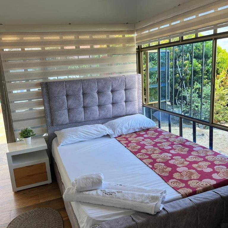 Finca Don Matías - Casa - 9