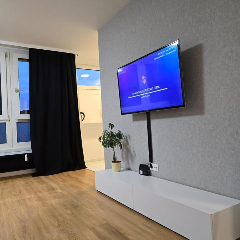 B&R Apartments Türkisches Konsulat - Apartamento de 1 dormitorio - 5