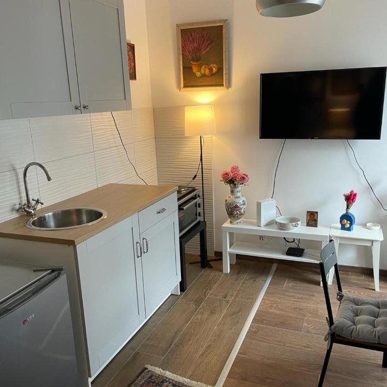 Vrnjacka Renesansa Promenada - Apartman sa 1 Spavaćom Sobom - 11