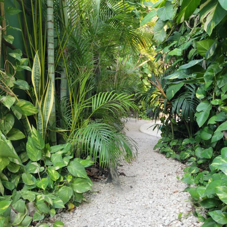 The Secret Garden Tulum - Apartamento de 1 dormitorio con vistas a la piscina - 7