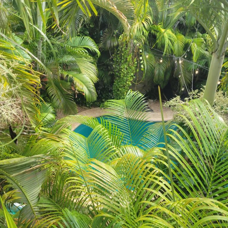 The Secret Garden Tulum - Apartamento de 1 dormitorio con vistas a la piscina - 3