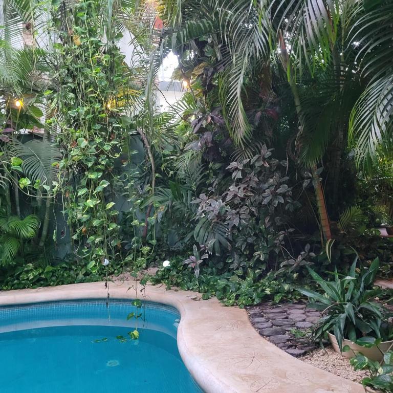 The Secret Garden Tulum - Apartamento de 1 dormitorio con vistas a la piscina - 5
